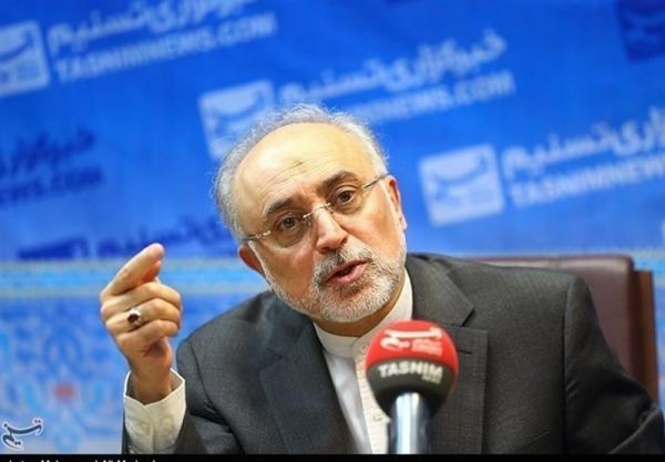 صالحی: اقدام علیه مرکز غنی سازی نطنز نشانه شکست مخالفان پیشرفت صنعتی و سیاسی ایران است