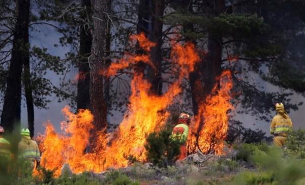 موج شدید گرما و سوختن جنگل های اسپانیا در آتش