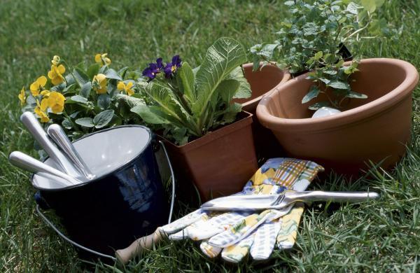 باغبانی در سطل؛ یک تجربه مقرون به صرفه و پرنشاط