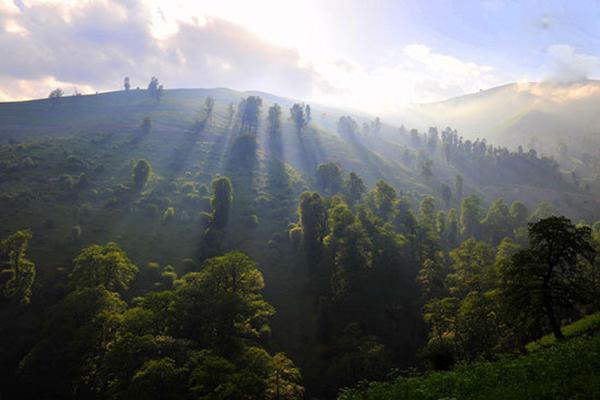 تابستان گردی در طبیعت زیبای ماسال