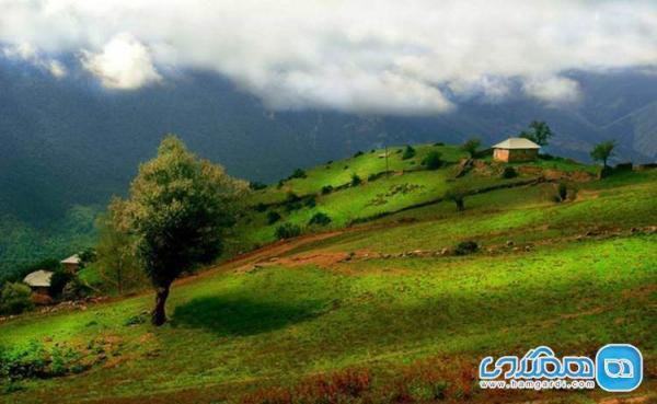 راهنمای سفر به آلاشت؛ شاهکاری از خلقت در سوادکوه راهنمای سفر به آلاشت؛ شاهکاری از خلقت در سوادکوه