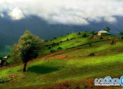راهنمای سفر به آلاشت؛ شاهکاری از خلقت در سوادکوه
